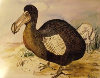 dodo bird food.jpg